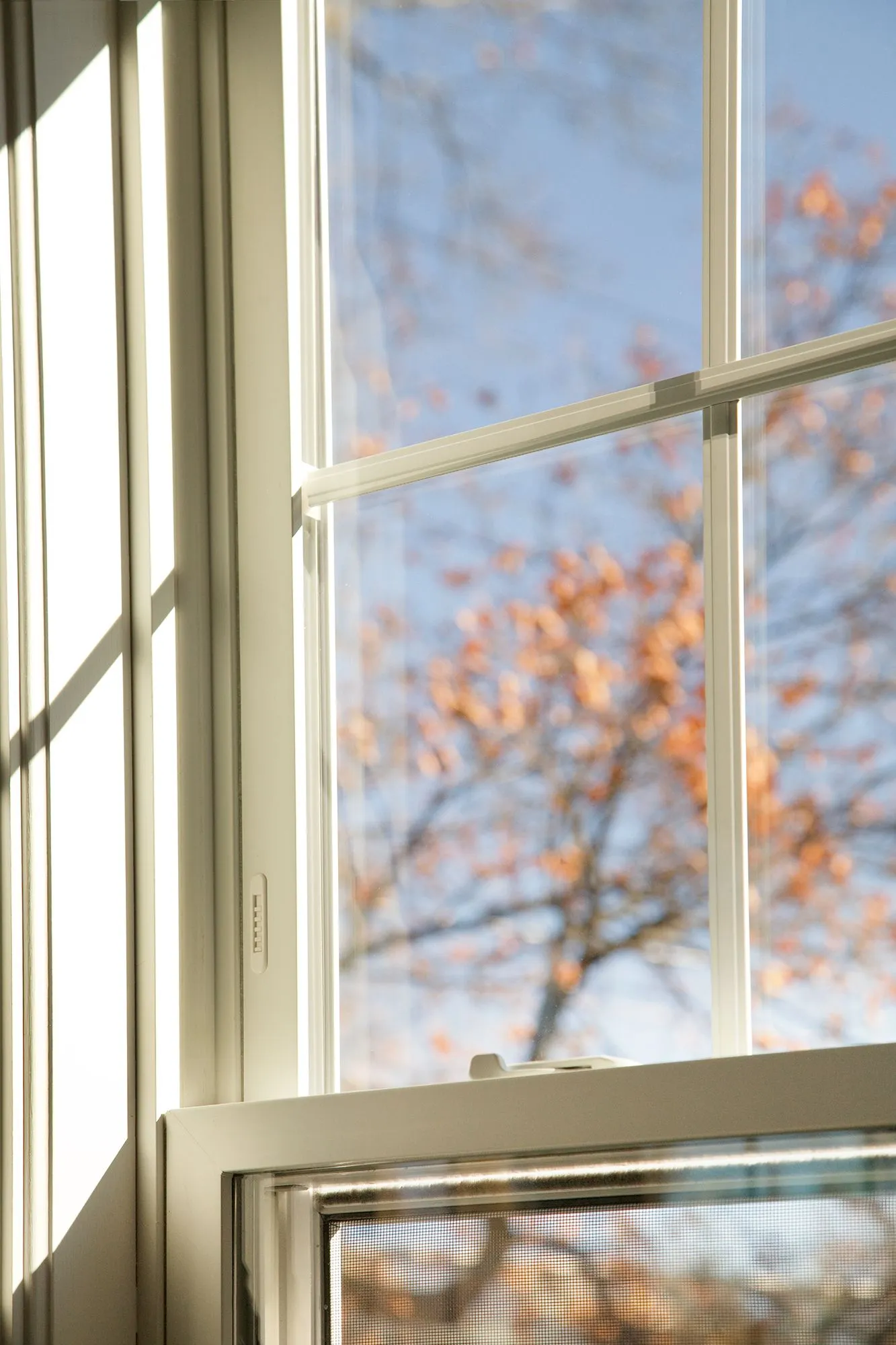 a close up of a window with a tree in the background